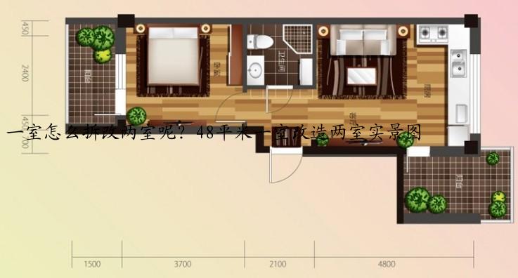 一室怎么拆改两室呢？48平米一室改造两室实景图